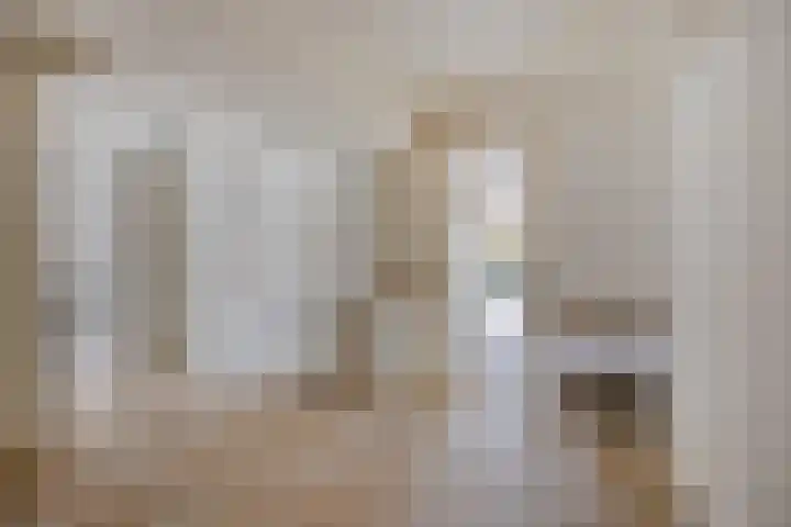 Demostheneslaan 17 's-Hertogenbosch thumbnail 28