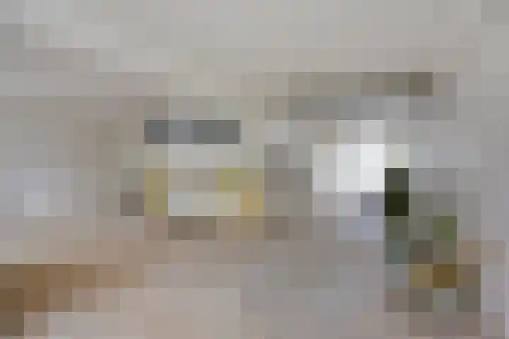 Demostheneslaan 17 's-Hertogenbosch thumbnail 33