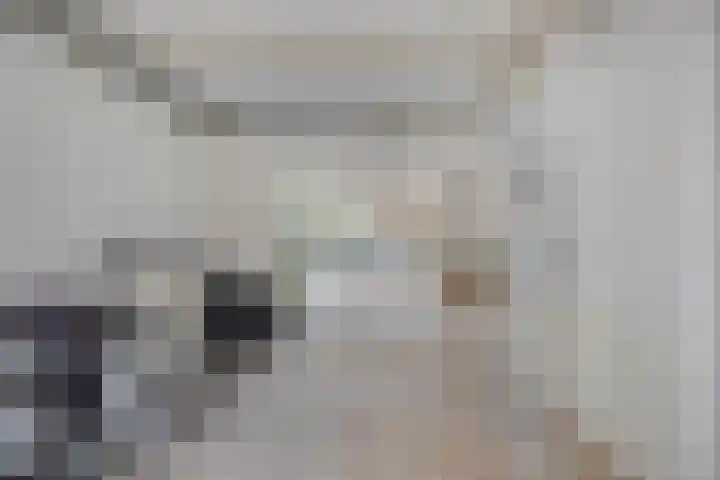 Demostheneslaan 17 's-Hertogenbosch thumbnail 34