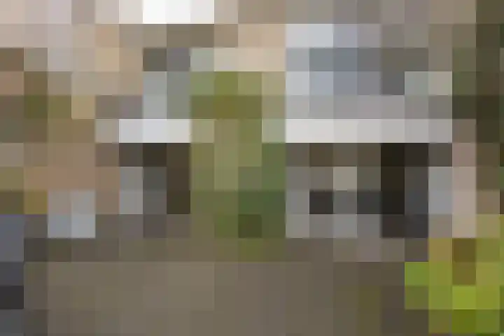 Demostheneslaan 17 's-Hertogenbosch thumbnail 38