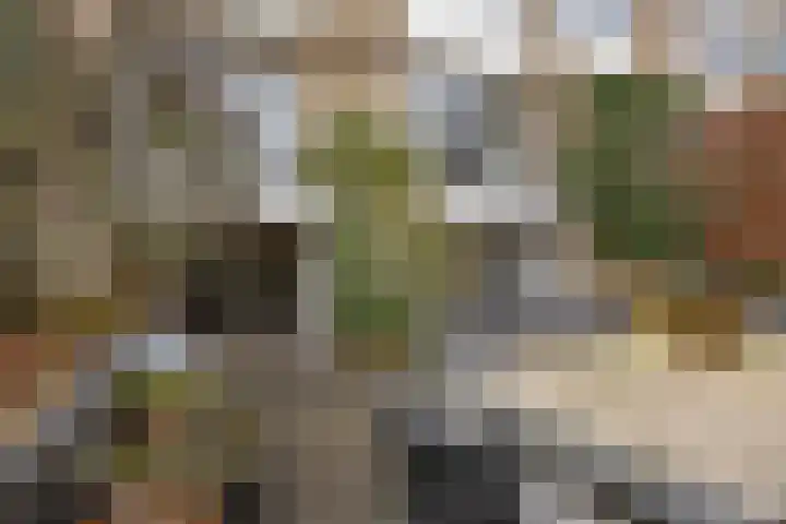 Demostheneslaan 17 's-Hertogenbosch thumbnail 39