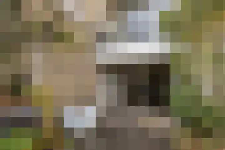 Demostheneslaan 17 's-Hertogenbosch thumbnail 40