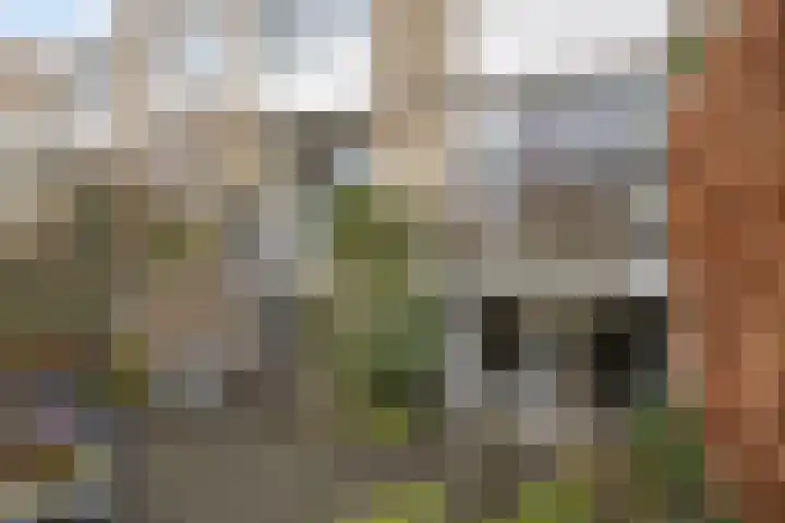 Demostheneslaan 17 's-Hertogenbosch thumbnail 42