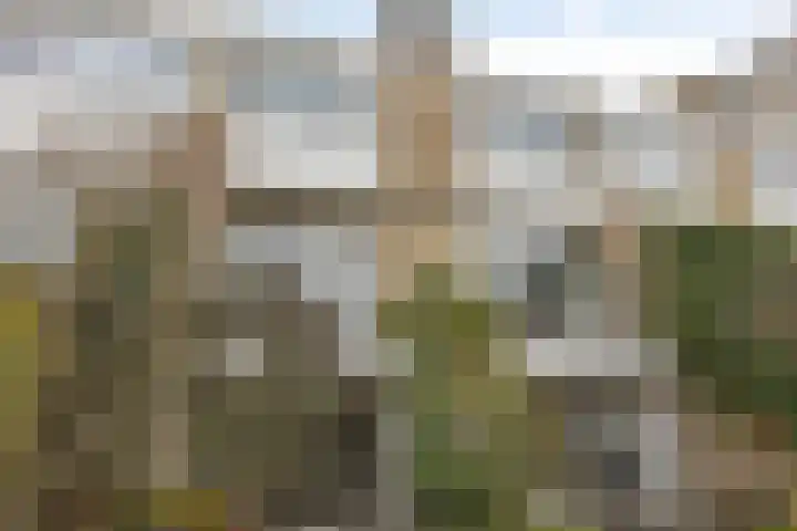 Demostheneslaan 17 's-Hertogenbosch thumbnail 43