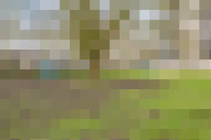 Demostheneslaan 17 's-Hertogenbosch thumbnail 45