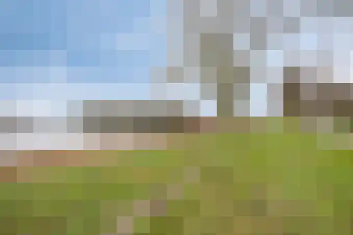 Demostheneslaan 17 's-Hertogenbosch thumbnail 46