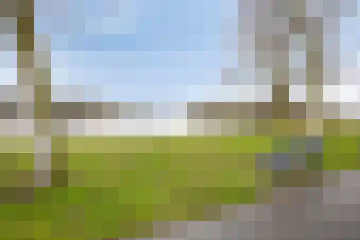 Demostheneslaan 17 's-Hertogenbosch thumbnail 47