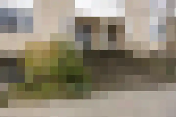 Demostheneslaan 17 's-Hertogenbosch thumbnail 7