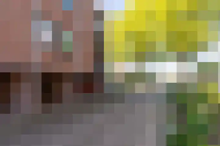 Demstraat 10 E Hoensbroek thumbnail 35