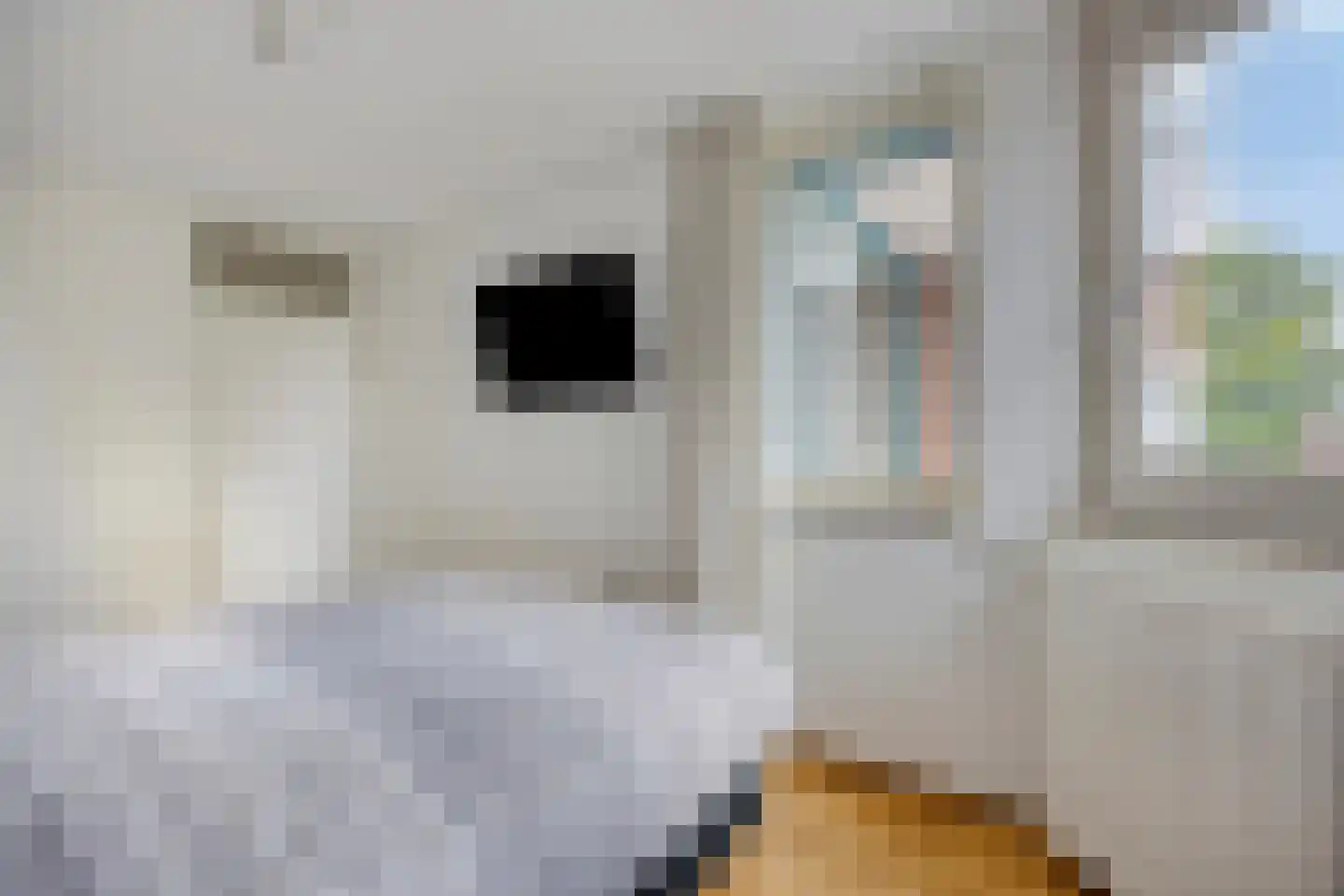 Demstraat 4 C Hoensbroek thumbnail 16