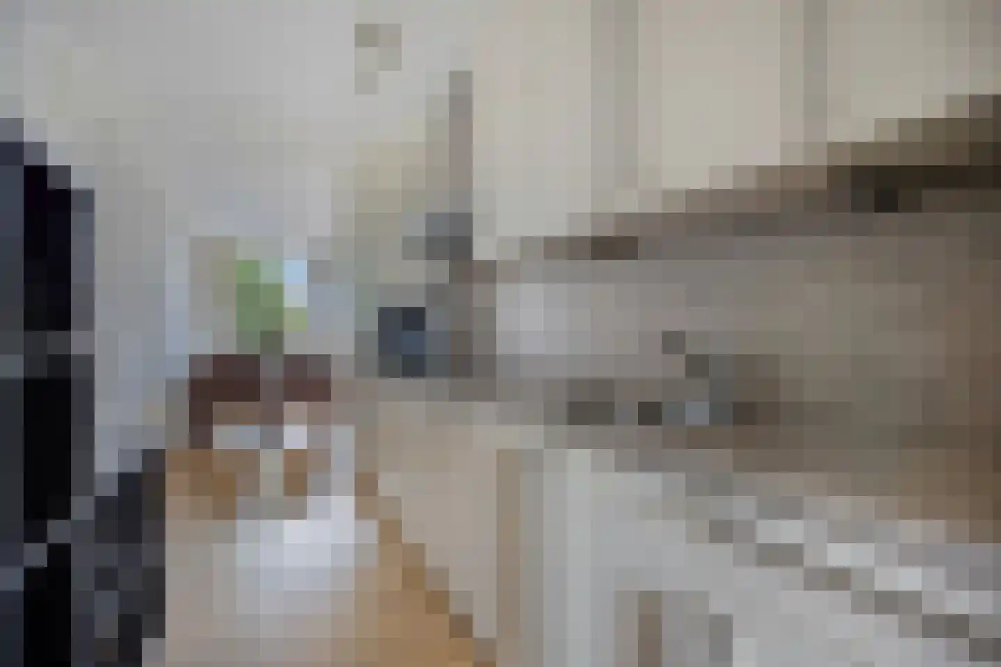Demstraat 4 C Hoensbroek thumbnail 8
