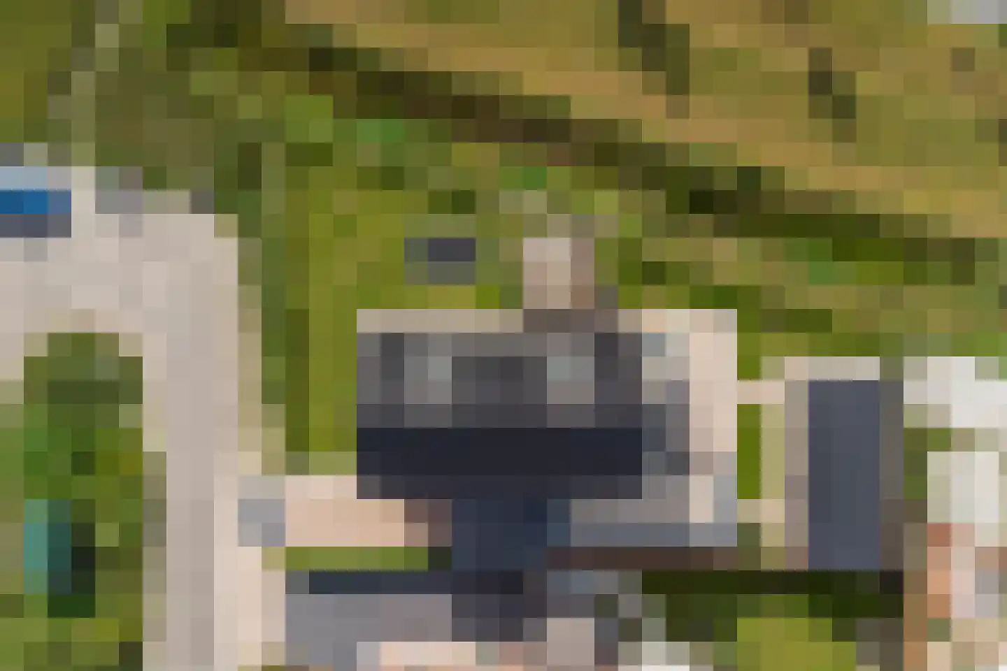 Den 55 Leek thumbnail 10