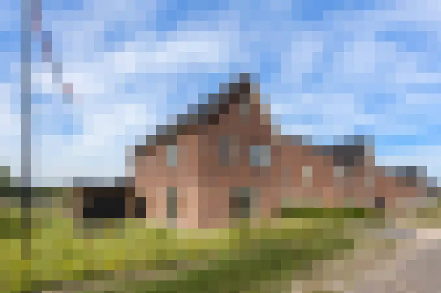 Den 55 Leek thumbnail 11