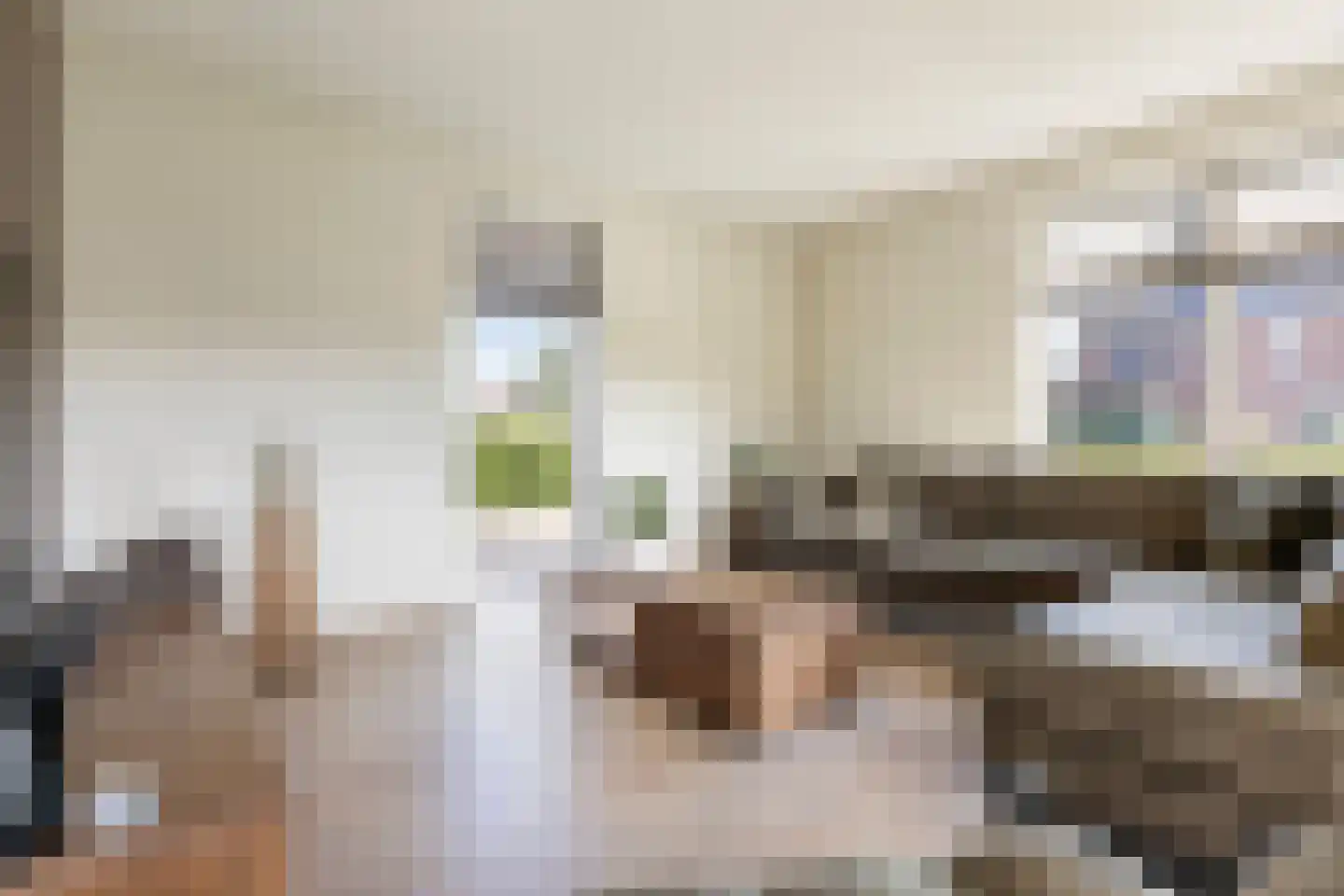 Den 55 Leek thumbnail 15