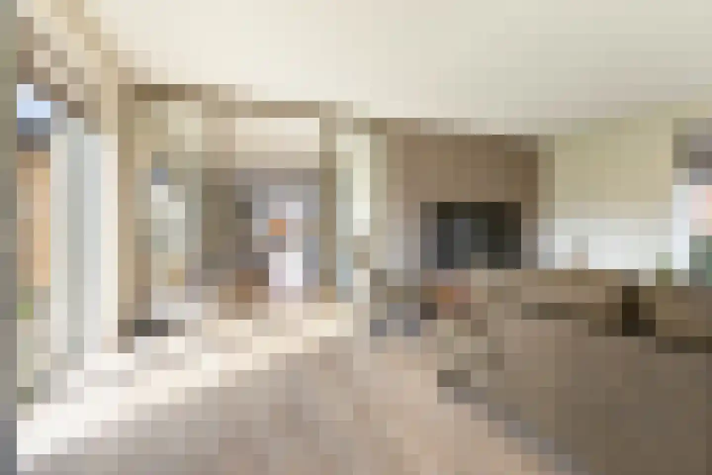 Den 55 Leek thumbnail 16