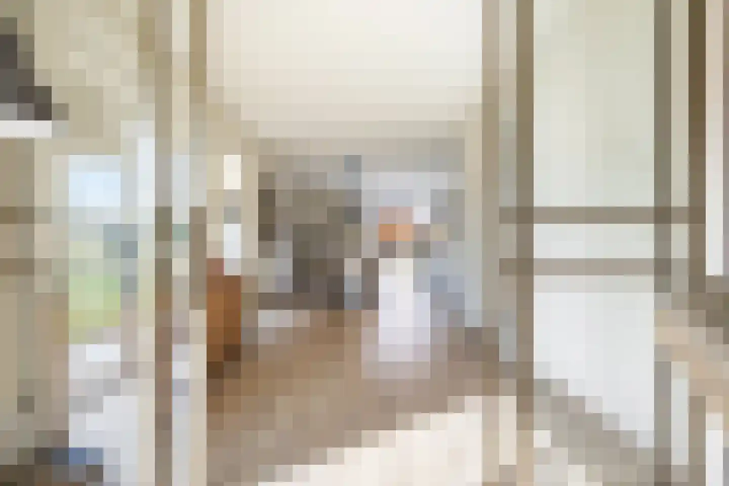 Den 55 Leek thumbnail 17