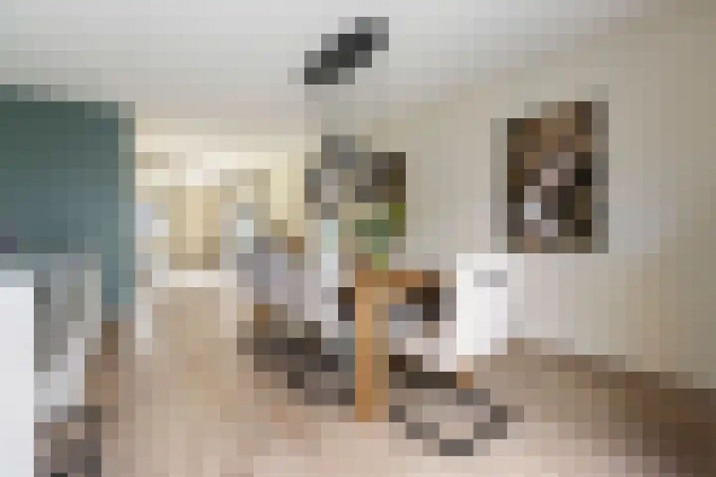 Den 55 Leek thumbnail 19