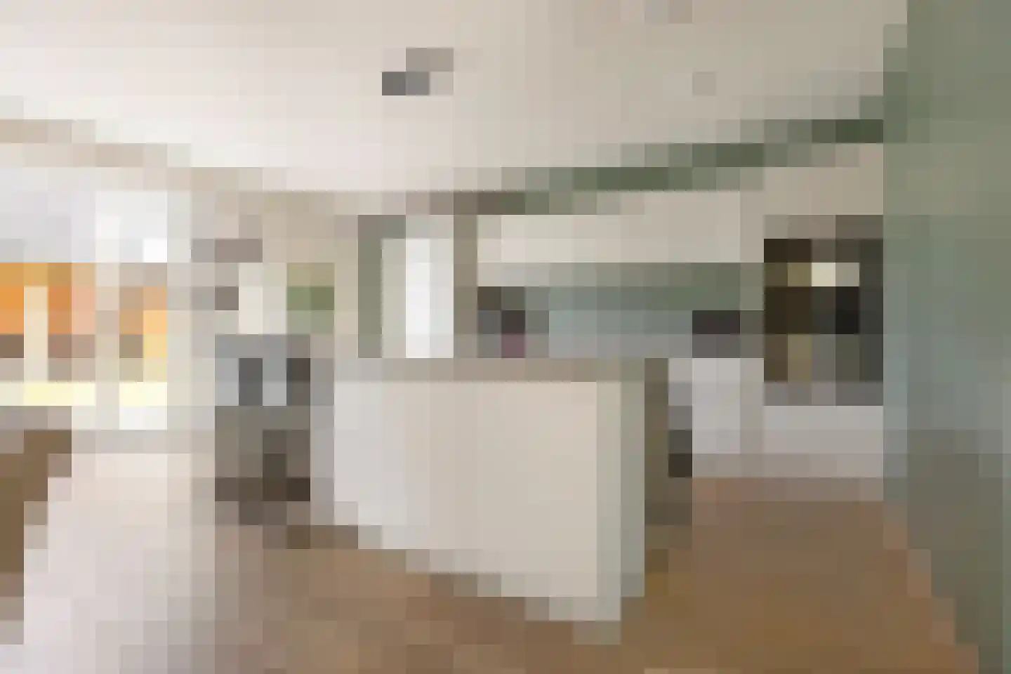 Den 55 Leek thumbnail 20