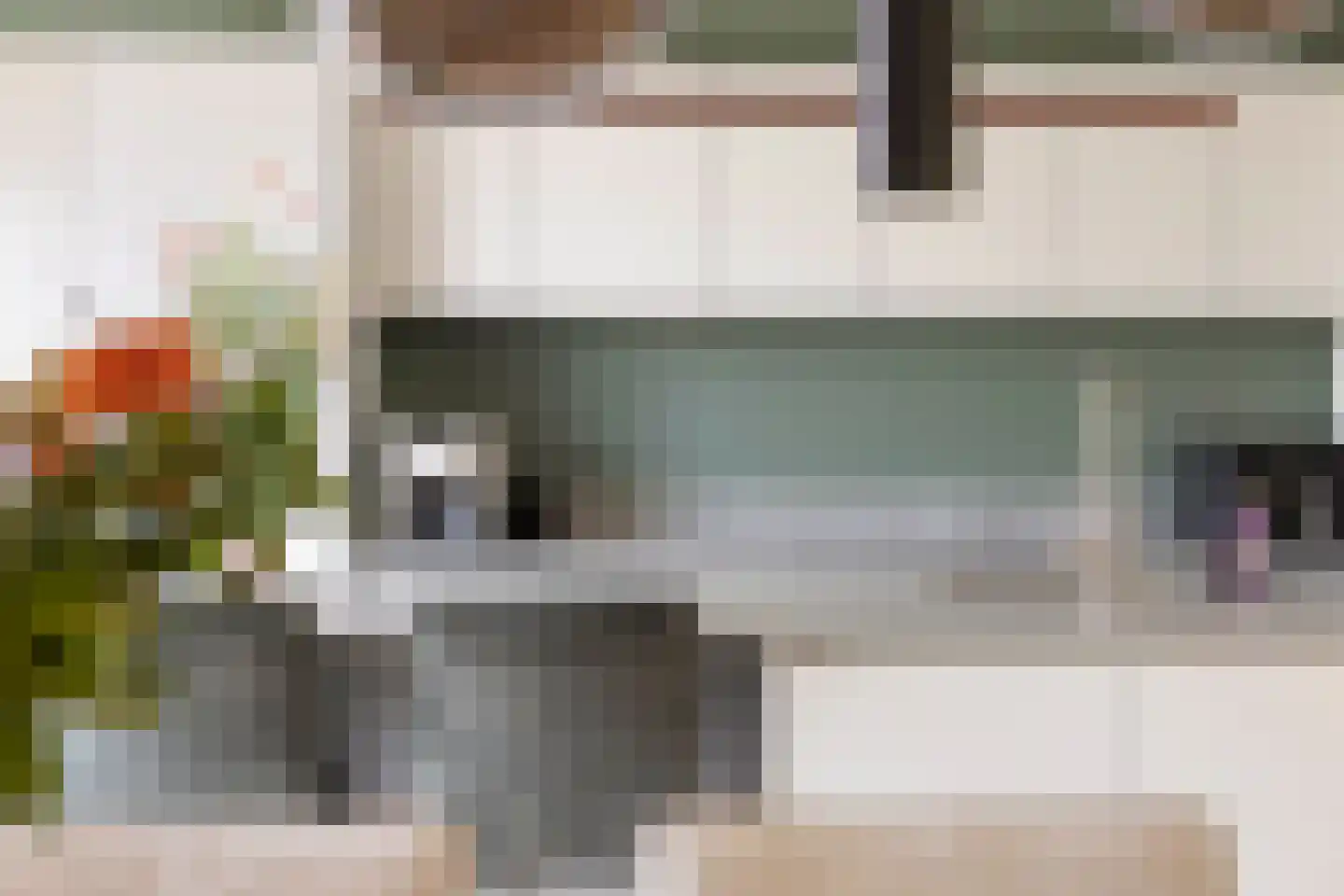 Den 55 Leek thumbnail 21