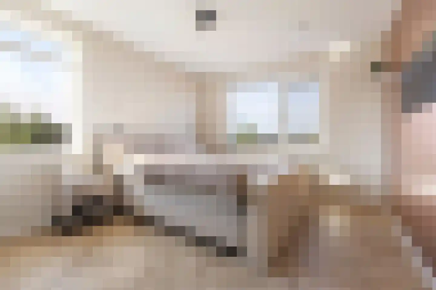 Den 55 Leek thumbnail 27