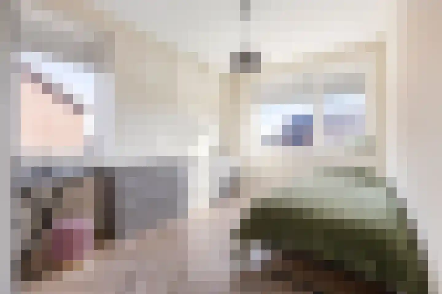 Den 55 Leek thumbnail 29