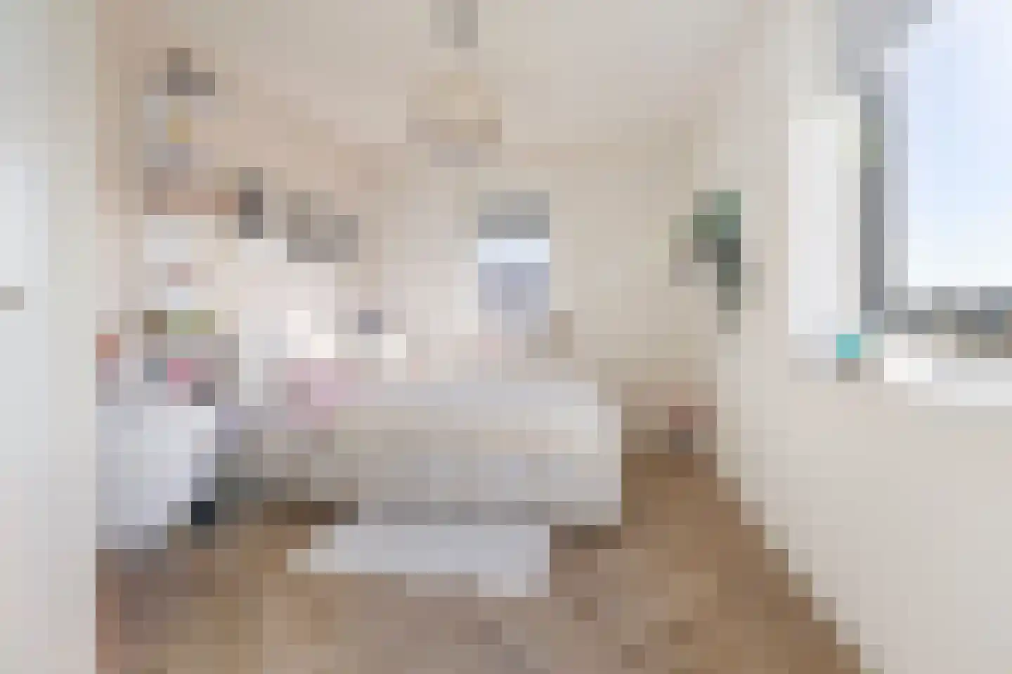Den 55 Leek thumbnail 30