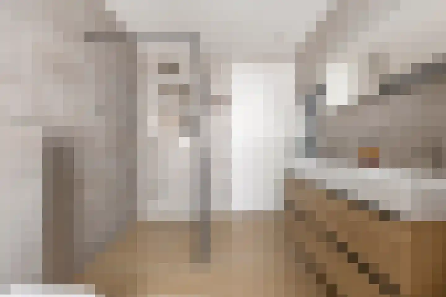 Den 55 Leek thumbnail 32