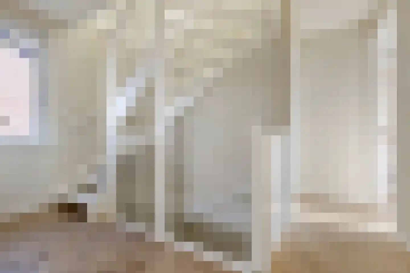 Den 55 Leek thumbnail 33