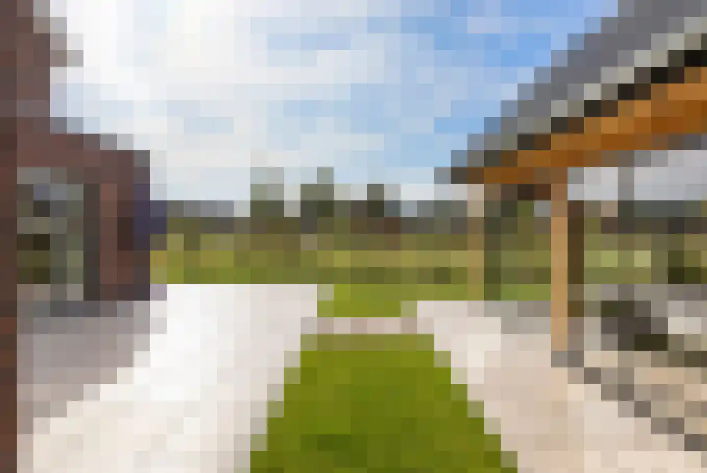 Den 55 Leek thumbnail 37