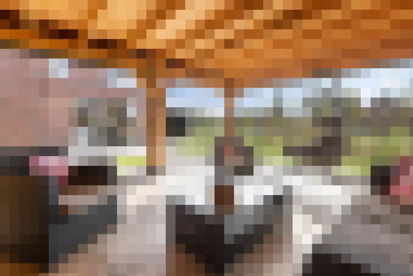 Den 55 Leek thumbnail 39