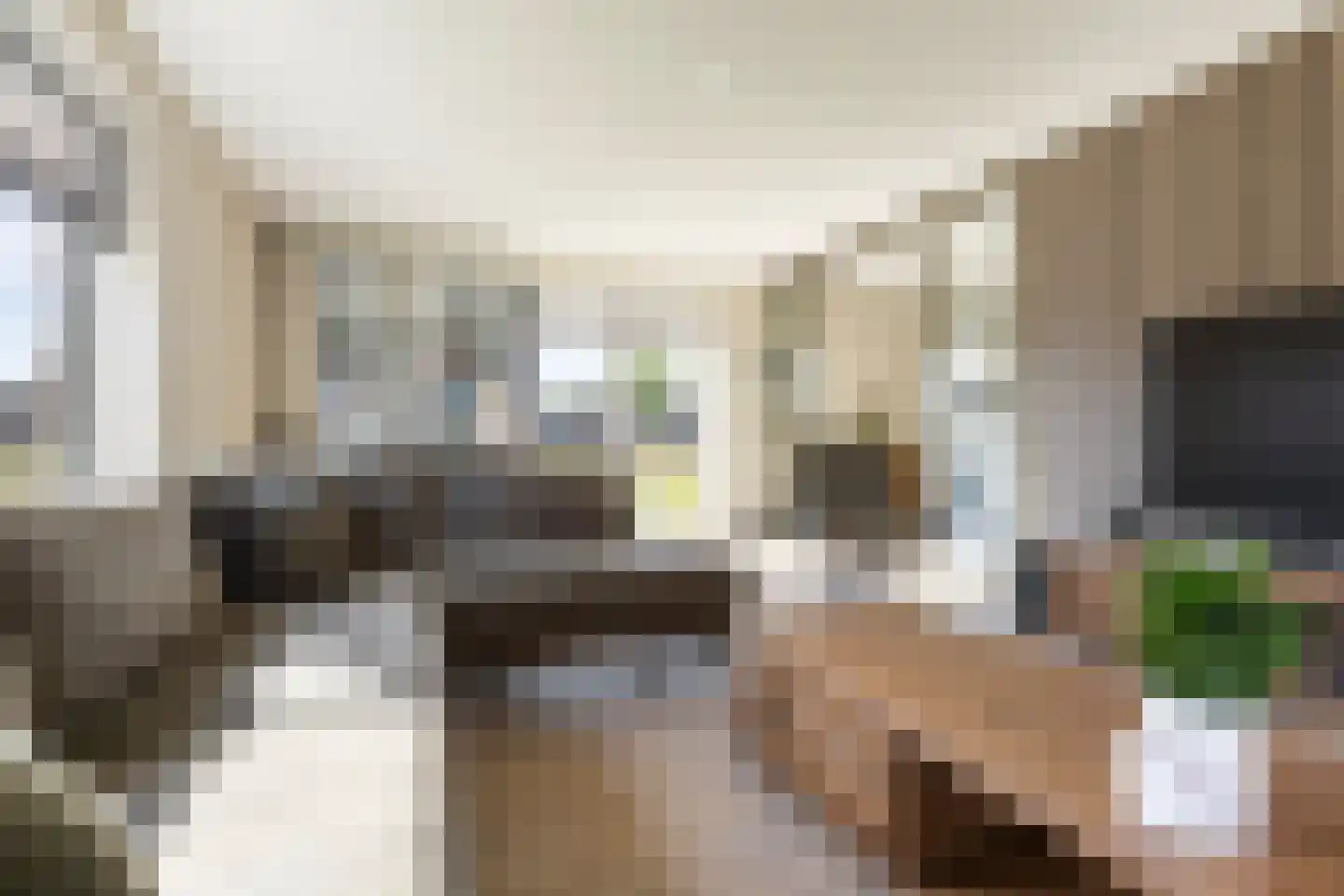 Den 55 Leek thumbnail 4