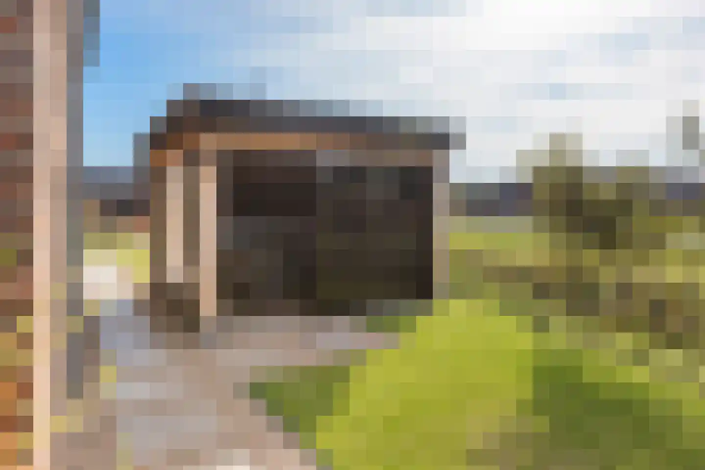 Den 55 Leek thumbnail 40