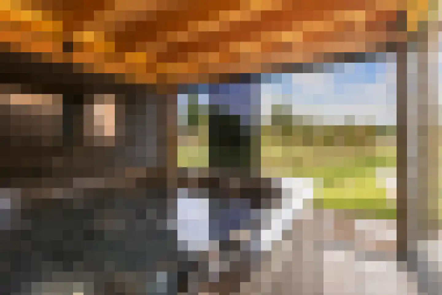 Den 55 Leek thumbnail 41