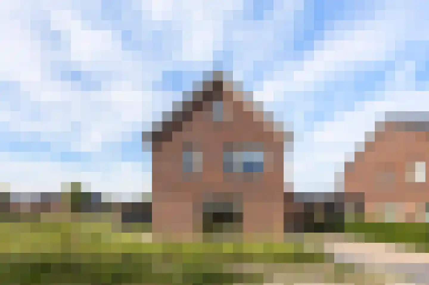 Den 55 Leek thumbnail 44