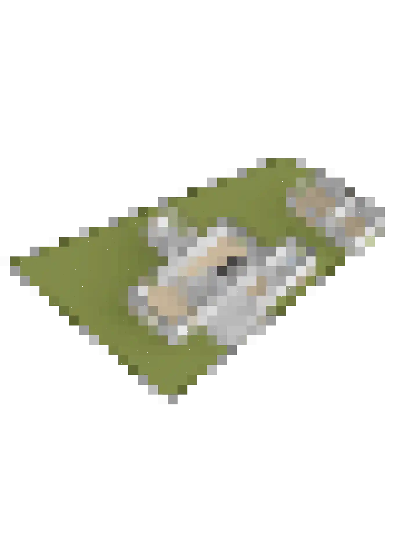 Den 55 Leek thumbnail 56