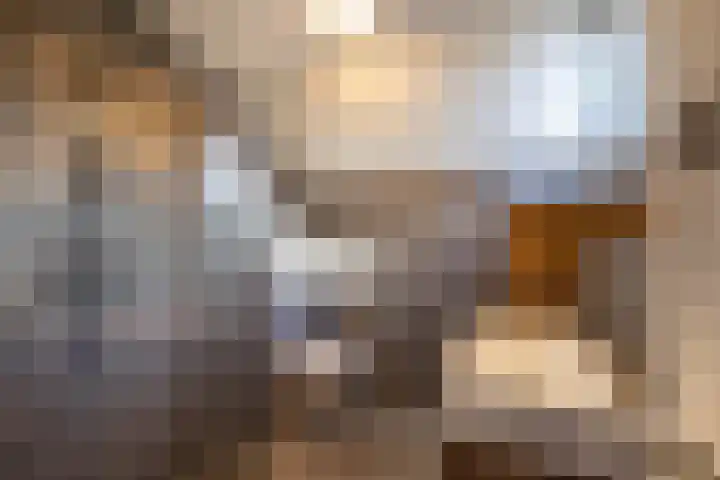 Den Aalhorst 3 Almelo thumbnail 4