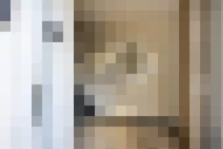Den Aalhorst 3 Almelo thumbnail 5