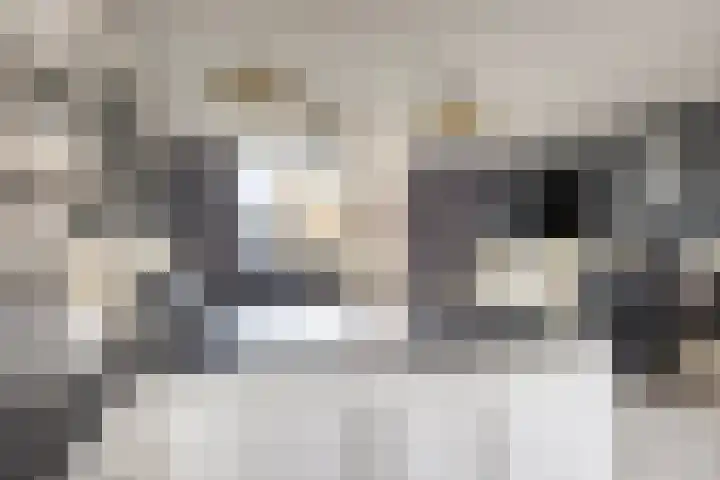 Den Aalhorst 7 Almelo thumbnail 12