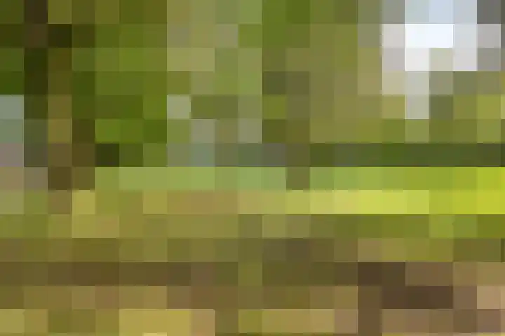Den Aalhorst 7 Almelo thumbnail 30