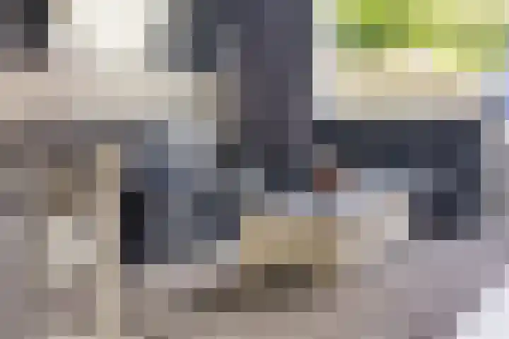 Den Aalhorst 7 Almelo thumbnail 7