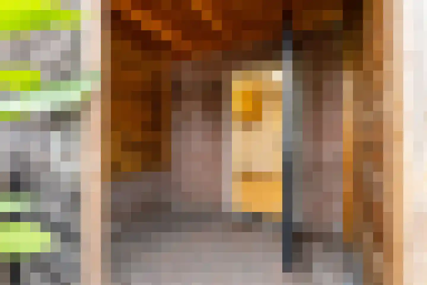 den Aanwas 26 Schijf thumbnail 24