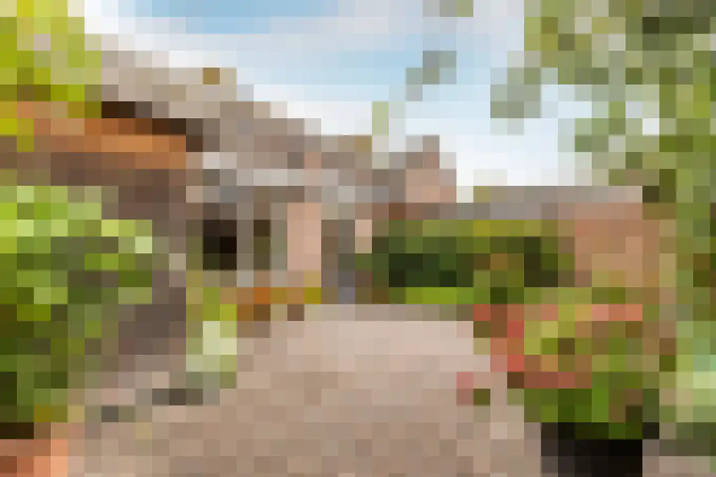 den Aanwas 26 Schijf thumbnail 26