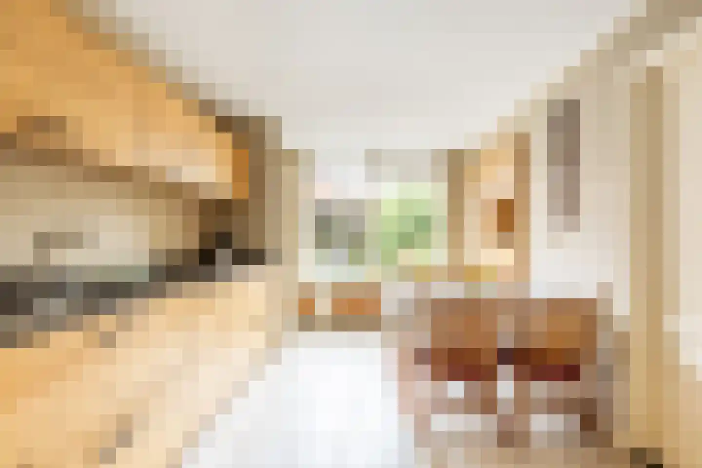 den Aanwas 26 Schijf thumbnail 5