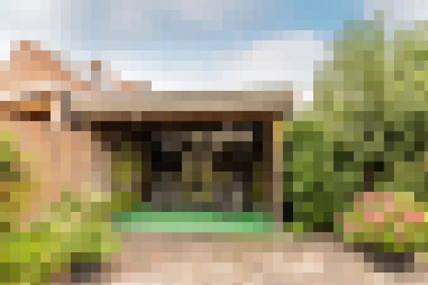 den Aanwas 26 Schijf thumbnail 6