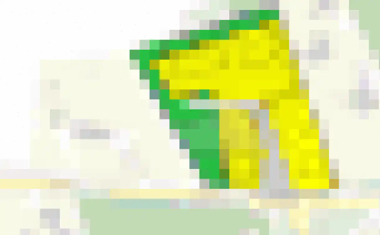 Den Aard Knegsel thumbnail 8