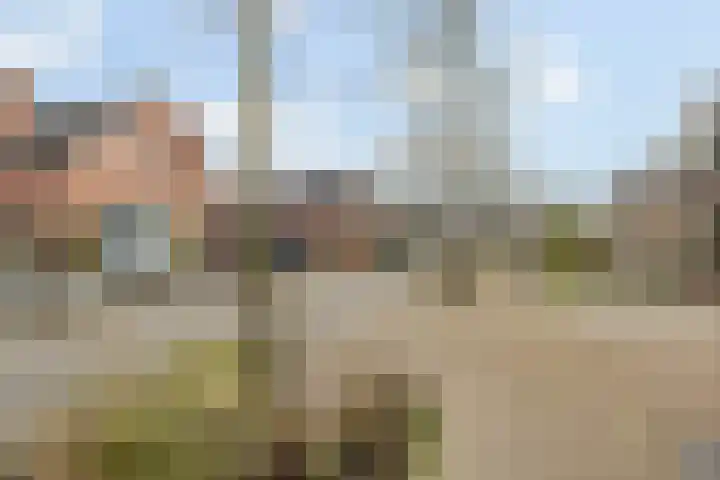 Den Achterhof 25 Liempde thumbnail 11