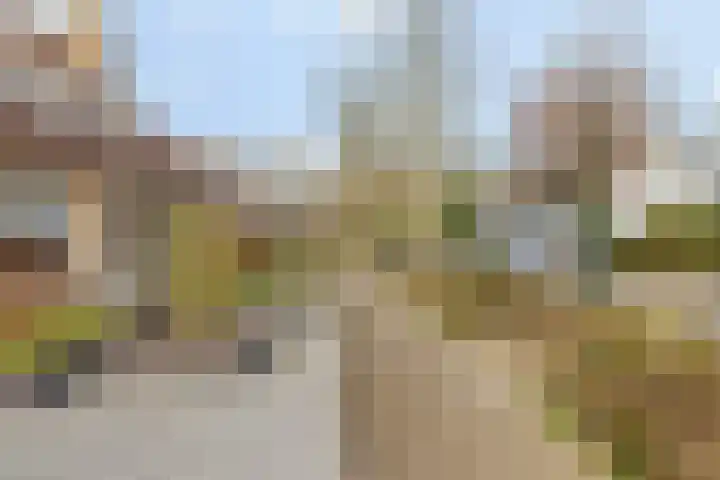 Den Achterhof 25 Liempde thumbnail 12