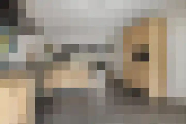 Den Achterhof 25 Liempde thumbnail 28
