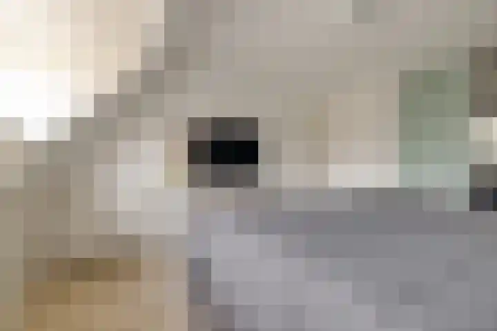 Den Achterhof 25 Liempde thumbnail 34