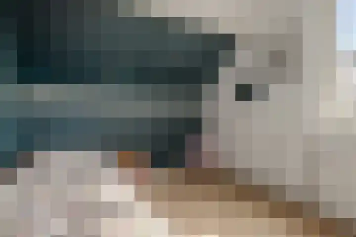 Den Achterhof 25 Liempde thumbnail 37